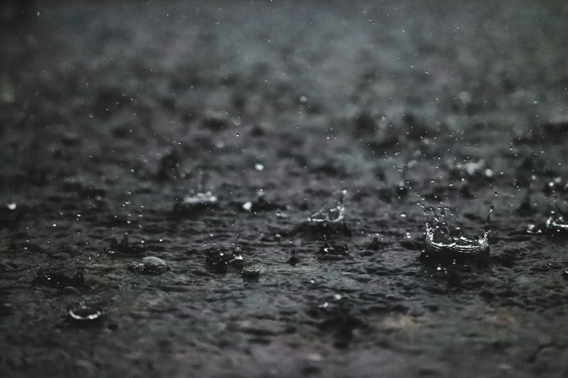 Close-up of raindrops splashing on dark wet pavement during a steady downpour